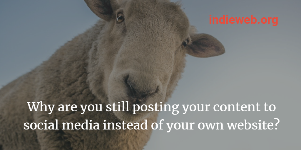 Why are you still posting your content to social media instead of your own website?